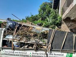 Professional Junk Removal Services in Maugansville, MD